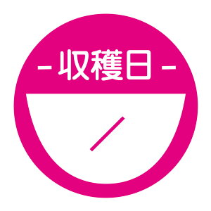 n@V[i486jmagenta ی`@(TCY40~-120)@(TCY30~-240)@V[@n菑ŋL܂