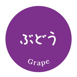 Ԃǂ@V[i497jی`@(TCY40~-120)@(TCY30~-240)@V[@䂸