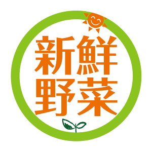 VN؁@V[i500jی`@(TCY40~-120)@(TCY30~-240) ؁@HȋV[