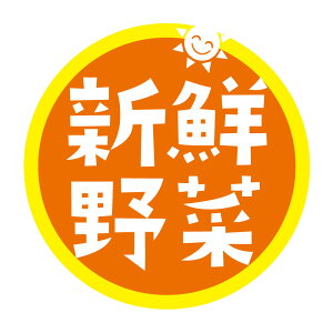 VN؁@V[i498jی`@(TCY40~-120)@(TCY30~-240) ؁@HȋV[