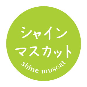 VC}XJbg@V[i513jی`@(TCY40~-120)@(TCY30~-240) ԂǂiV[