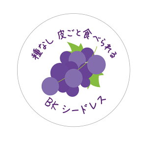 BKV[hX@V[i524jȂ炲ƐHׂ ی` A[giԂǂCXgj (TCY40~-120)@(TCY30~-240) ԂǂiV[