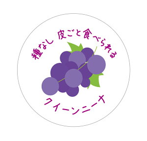 NC[j[i@V[i520jȂ炲ƐHׂ ی` A[giԂǂCXgj (TCY40~-120)@(TCY30~-240) ԂǂiV[