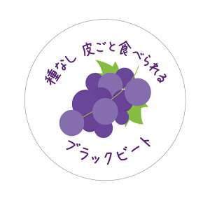 ubNr[g@V[i523jȂ炲ƐHׂ ی` A[giԂǂCXgj (TCY40~-120)@(TCY30~-240) ԂǂiV[