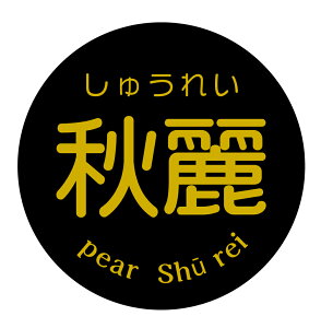 H イꂢ V[i527jی`@(TCY40~-120)@(TCY30~-240)  i V[