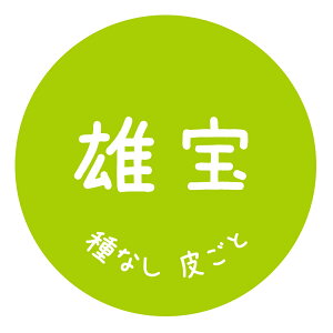 �Y��@�V�[���i536�j�ی`�@(30�~��-240��/40�~��-120��/60�~��-60��)