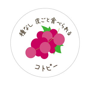 Rgs[@V[i546jȂ炲ƐHׂ ی` A[giԂǂCXgj (TCY40~-120)@(TCY30~-240) ԂǂiV[