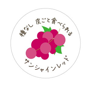 TVCbh@V[i549jȂ炲ƐHׂ ی` A[giԂǂCXgj (TCY40~-120)@(TCY30~-240) ԂǂiV[