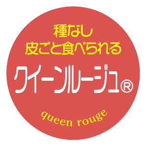 yⓀE①pzNC[[WiRj@V[i288jی^30~ 240@ԂǂiV[@}CiX20x܂ŔȂ@Зp