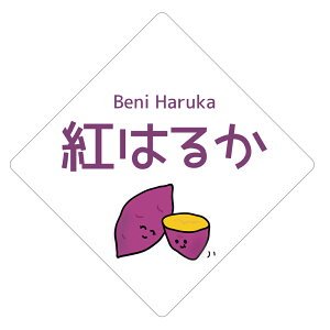 g͂邩@V[ikbt-007jی`@p30~-200 p40~120 ܂i@g͂邩eq