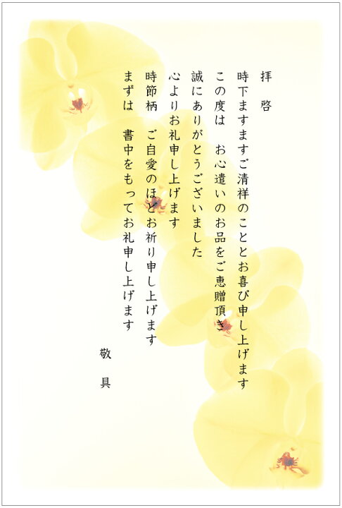 楽天市場 私製はがき 10枚セット お礼はがき こちょうらん4 お中元 お歳暮 御歳暮 御中元 ギフト 内祝い お祝い お返し お返事 葉書 ハガキ メイドインたんたん