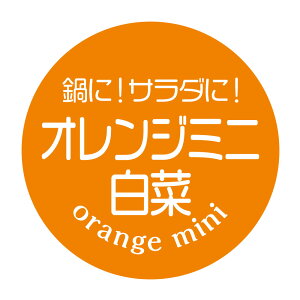 IW~j؁@V[i397jی`@(TCY40~-120)@(TCY30~-240)   V[