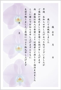 10 Sʒm A ͂i1-k806j菑L^Cv nKL ؎Ȃ ʈς