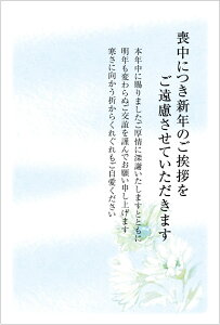 10 r͂iNo.K811js؎Ȃ/ʈς/X֘gO[t