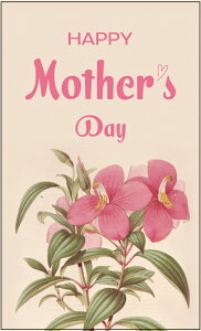 ̓J[h@_019 TCY/Iׂ܂hTCY 91×55mm/ʐ^LŃTCY89×127mm Iׂ܂̓ bsO MtgJ[h