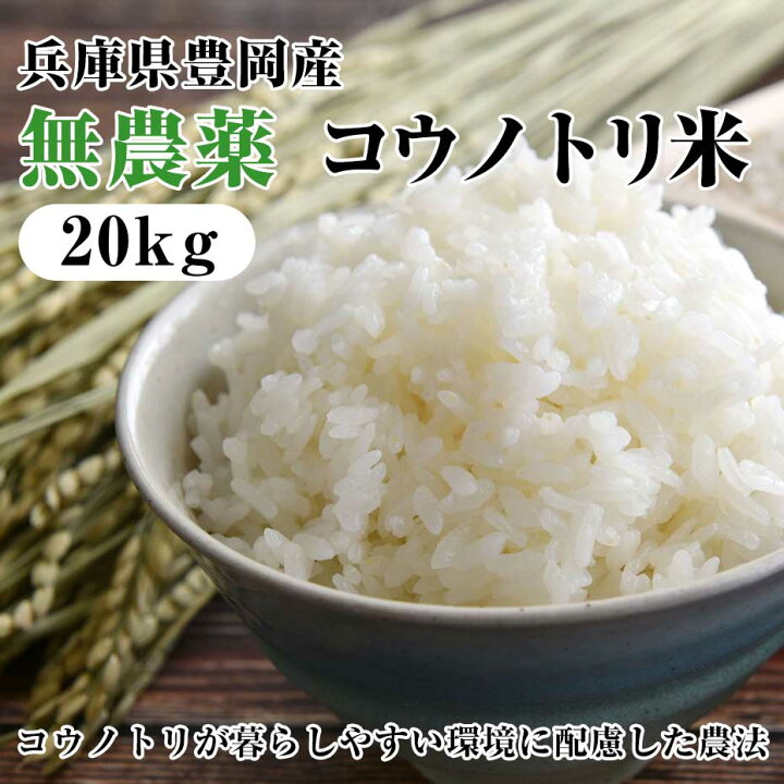 新米 令和五年産 無農薬 近江米コシヒカリ オリーブ酵素米5キロ玄米　 精米選択