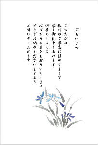 @@@v@J[h003@4Zbg@ J[h@͂TCY