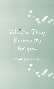 zCgf[J[h@wh-004@I hTCYƎʐ^LŃTCYIׂ܂