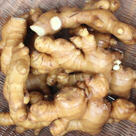 楽天市場 5kg 生姜 野菜 きのこ 食品の通販