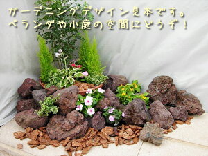 K[fjOp΍ށ@ΎR@15LiΏۊOj