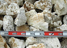 ガーデニング用石材　サンゴ石　20キロ（送料無料対象外）