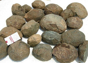 K[fjOp΍ށ@VƔnS^΁@20LiΏۊOj