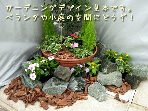 K[fjOp΍ށ@dB 20kg(3`5kg6`7jiΏۊOj