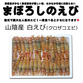 楽天市場 モサエビ 刺身の通販