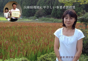 コウノトリ育む農法、無農薬「赤米か紅白米」が選べます