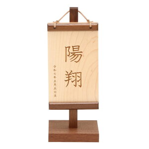 _ӍP10{^ ؐO@EH[ibgi[U[󖼓Dj