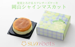 Ⓚi `[YP[L Xt 3̃Xt`[YP[L R ˓ fR Xt`[YP[L VC}XJbg   Mtg ӂ Sunneets Tj[c  n XC[