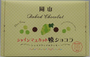 RVC}XJbgăVR َq  Mtg Yi R O RyY v[g َqlߍ RYi RYVC}XJbgs[gp mَq 蕨