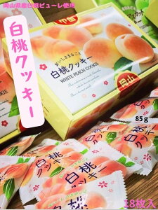 NbL[() R َq  Mtg Yi R O uj[Av RyY v[g َqlߍ RYi NbL[ RYs[gp 