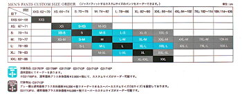 GOLDWINゴールドウィンスキーウェアSTREAMPANTSG31713P