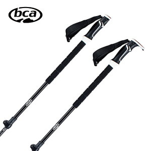 y10/4-/9聜SiP10{zBCA r[V[G[ XgbN / Lk 2026 C2005006010 / SCEPTER ADJUSTABLE CARBON