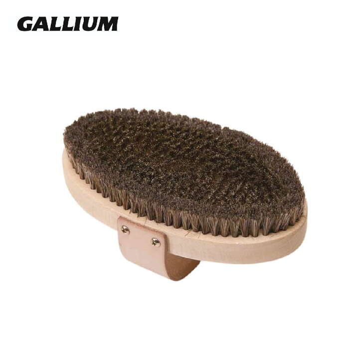 楽天市場】GALLIUM ガリウム チューンナップ用品 TU0209 PROブラシ  