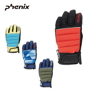 y10/4-/9聜SiP10{zPHENIX tFjbNX XL[O[u LbY WjA2025ESB24GL82 / Snow Float Junior Gloves