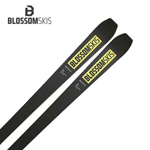 BLOSSOM ubT XL[ Y fB[X2025MASTER + WCRevolution10 + VIST V412 rfBO Zbg t