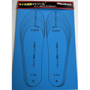 y12/1Iő7~OFFN[|IzFOOTWEDGE ktbgEFbW u[cpbgl TCYC\[ FP-E1