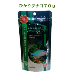 Ђ^iS70giɒ~j1ܑ^iS̃GT̔{YW̃GTybgtANAE