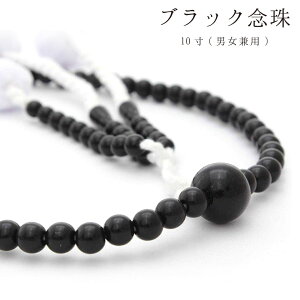_1000~|bL^ ynw O ubN jpz j ̑傫 10   MTCY 