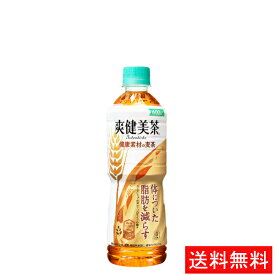 【代引き不可】爽健美茶 健康素材の麦茶 PET 600ml(24本入り) 【全国送料無料】