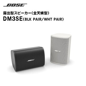 yubNtCf[ԒGg[ł10{IIzy񂹏izDM3SE Io^Xs[J[ SV^ yA 2 BOSE yLZsz