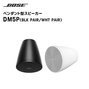 yubNtCf[ԒGg[ł10{IIzy񂹏izDM5P y_g^Xs[J[ yA 2 BOSE yLZsz