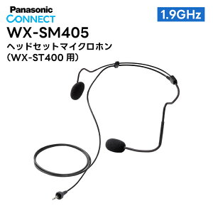 WX-SM405 Panasonic(pi\jbN) wbhZbg}CNz 1.9GHz fW^ WX-ST400p