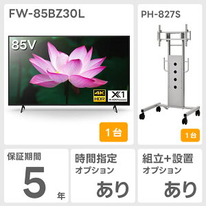 y3N܂5N ۏؕtz FW-85BZ30L 85^4KfBXvC \j[ SONY tj^[ @lurA c TCl[W y[:1TԒ [J[i ELZsz