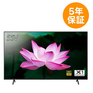 y3N܂5N ۏؕtz FW-55BZ30L 55^4KfBXvC \j[ SONY tj^[ @lurA c TCl[W y[:1TԒ [J[i ELZsz