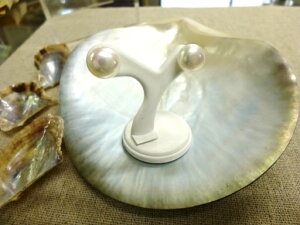 yH[z K18 W^ Vv sAXyz#135 ^ p[ Pearl