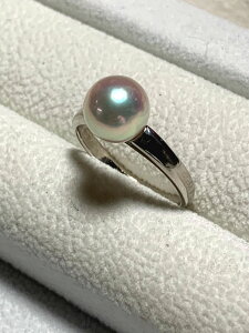 y󒍐Yz H[ ^ Pt900 Vv O y  z #300 w p[ ^ p[ Pearl v`i ɐu