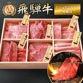 高級 焼肉セット 焼肉 飛騨牛 厳選部位 6点 500g 焼き肉 セット 国産 お肉 詰め合わせ ギフト プレゼント 盛り合わせ 肉セット やきにく 牛肉 牛 肉 飛騨 ひだ 和牛 最高級 特上 お取り寄せ オンラインショップ ミシュラン掲載店 田中精肉店